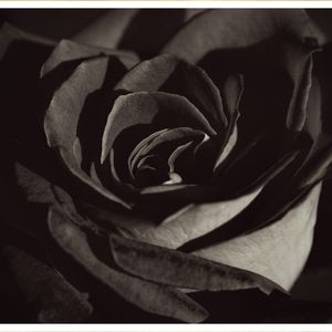 Trade Bundle for @NastygalWannabe